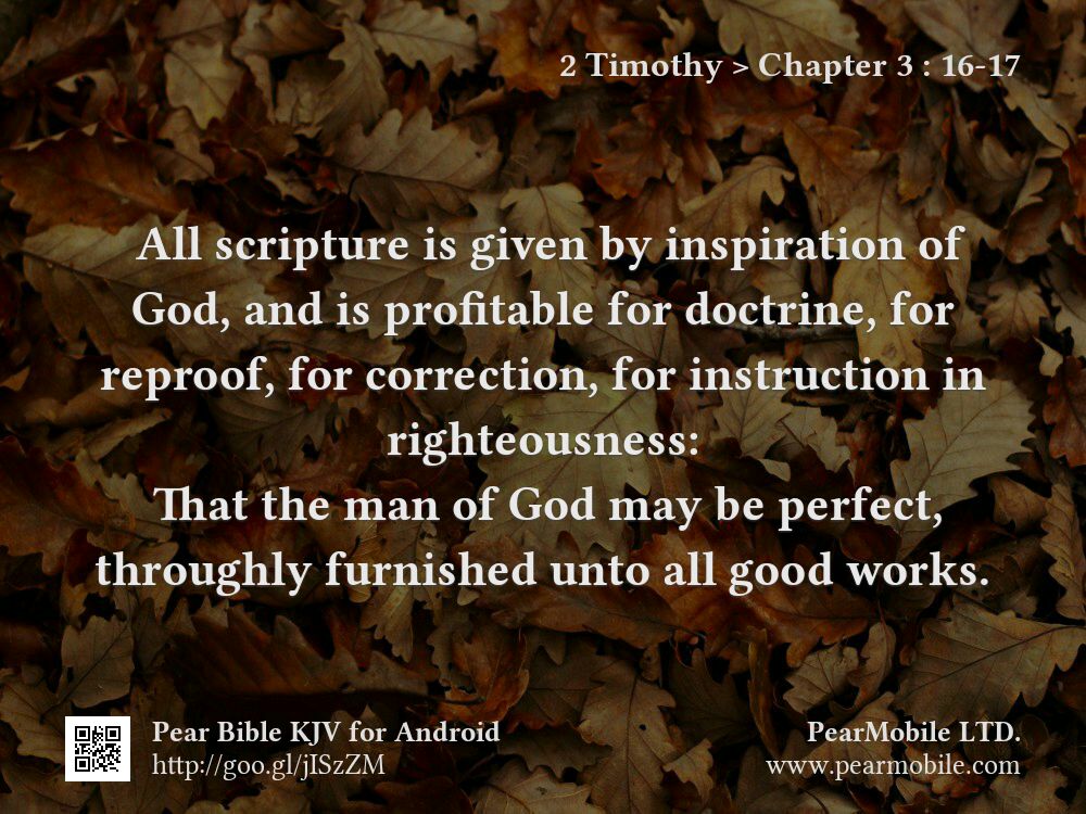 2 Timothy, Chapter 3:16-17